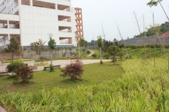 校园内景